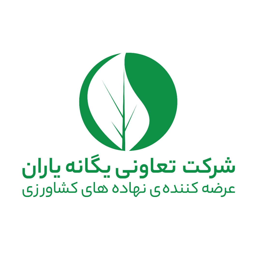 یگانه یاران